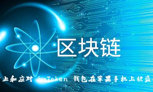 如何防止和应对 imToken 钱包在苹果手机上被盗的风险